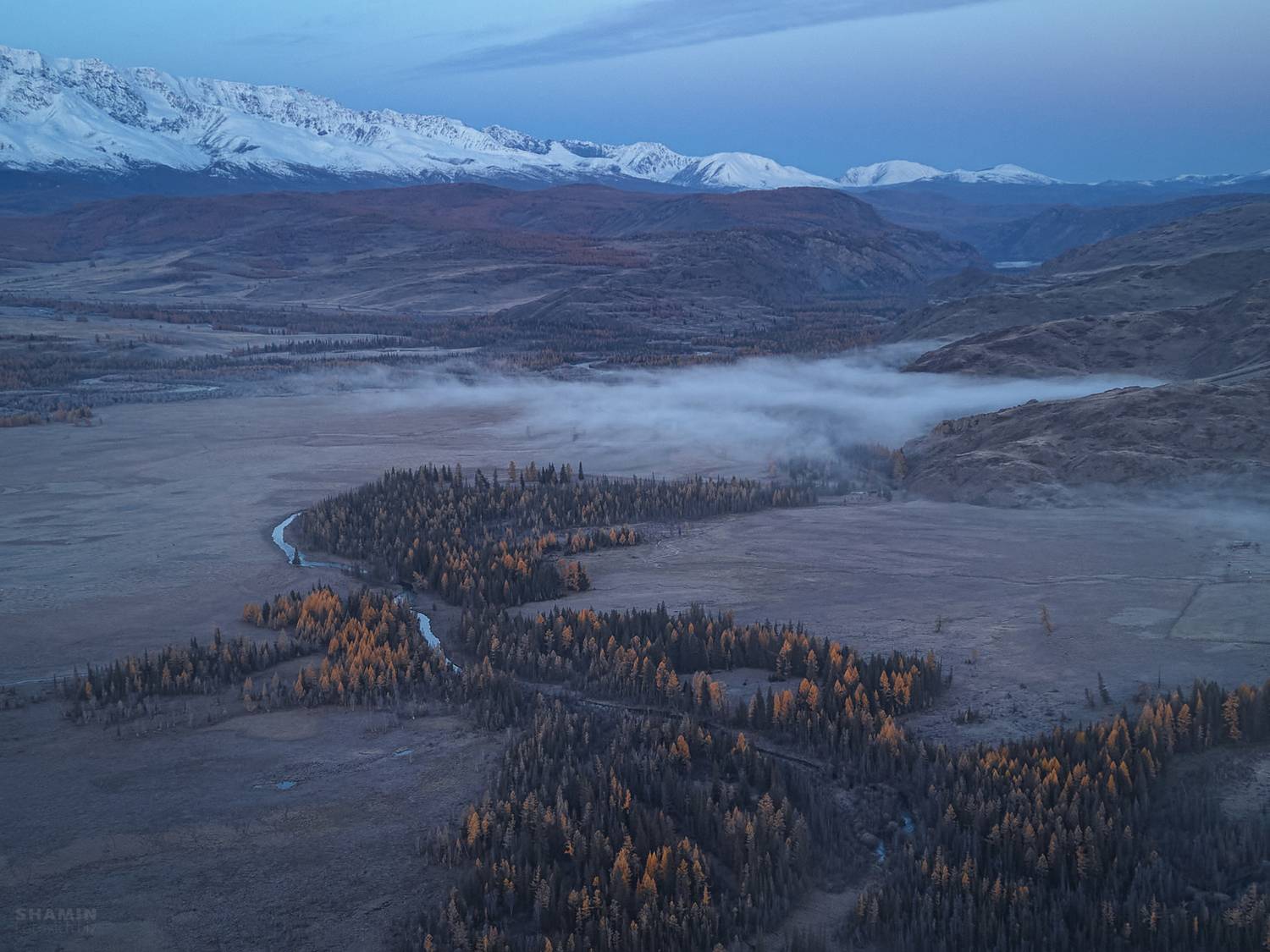 , Константин Шамин