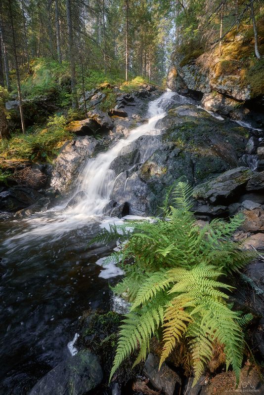 Карелия. Водопад Молочный фото превью