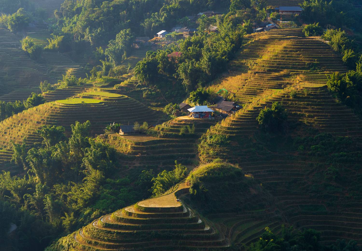 вьетнам, сапа, рисовые террасы, Исаков Дмитрий