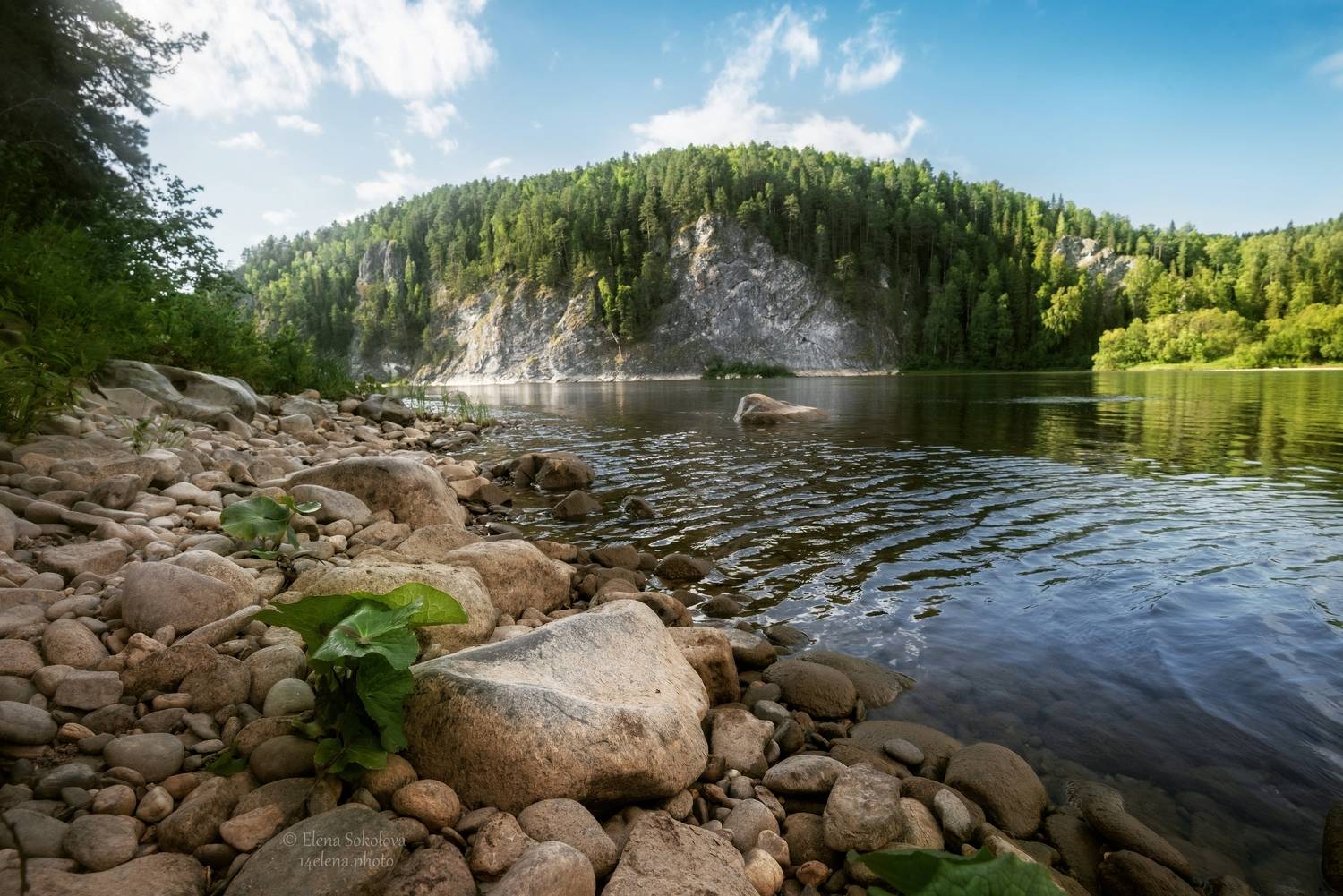 пейзаж, река, вишера, Соколова Елена