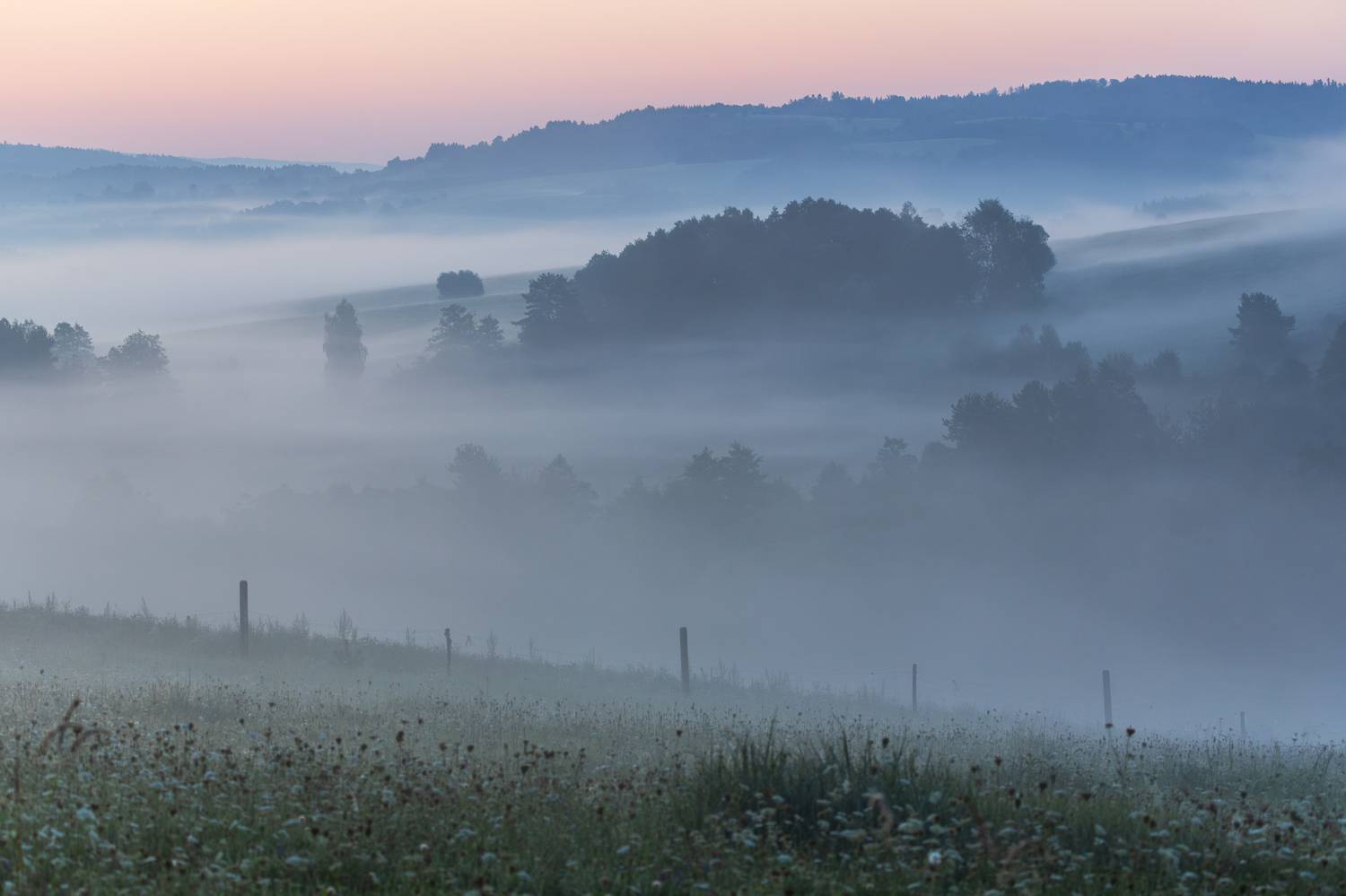 ,  Mirosław Pruchnicki