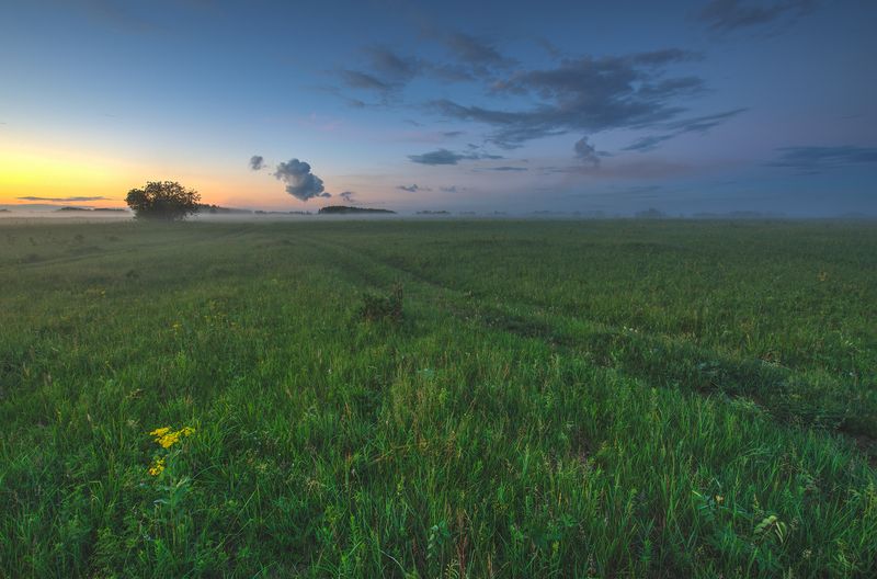 *** фото превью