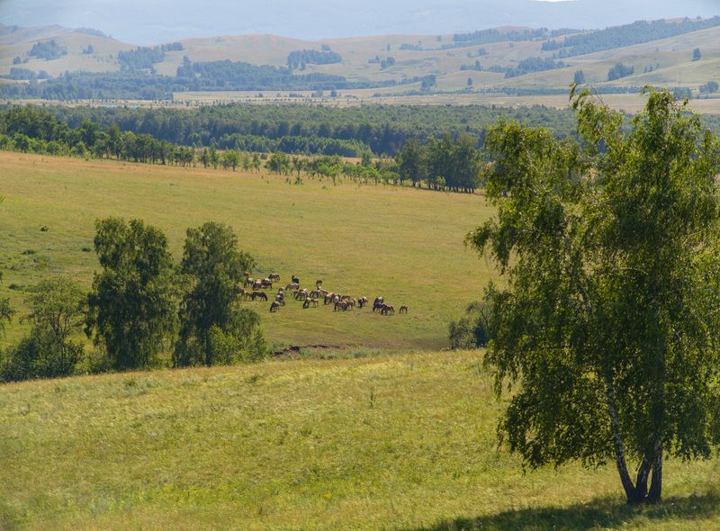 на просторах фото превью