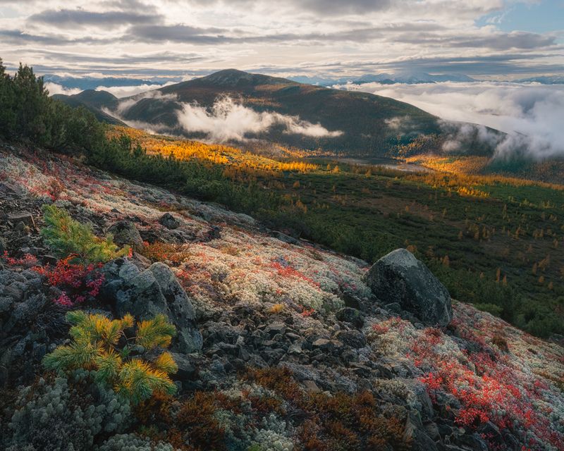 Танец тумана над озером Танцующих Хариусов фото превью