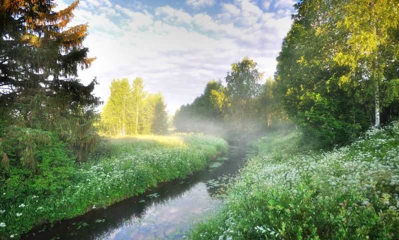 Утро. После дождя. фото превью