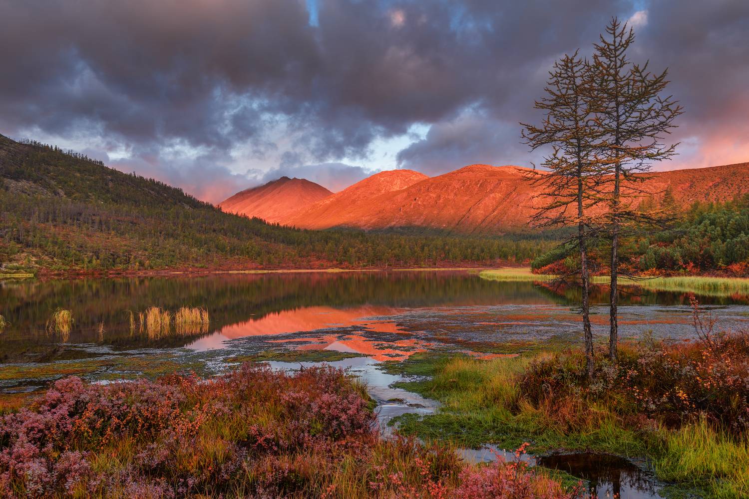 озеро джека лондона, Евдокимов Максим