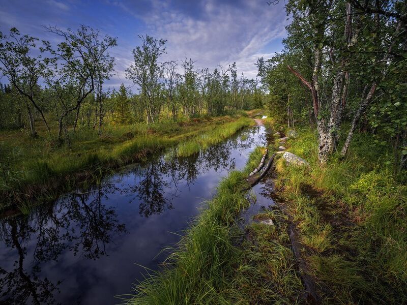 Дорога на Большую Муксалму фото превью