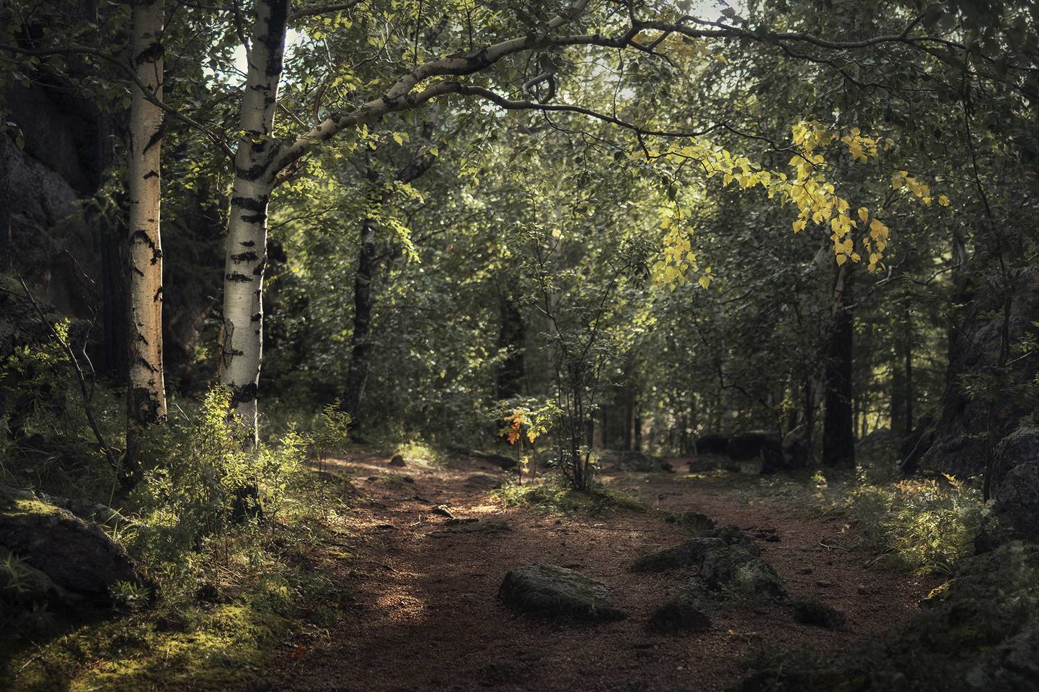 красноярские столбы, Андреева Светлана