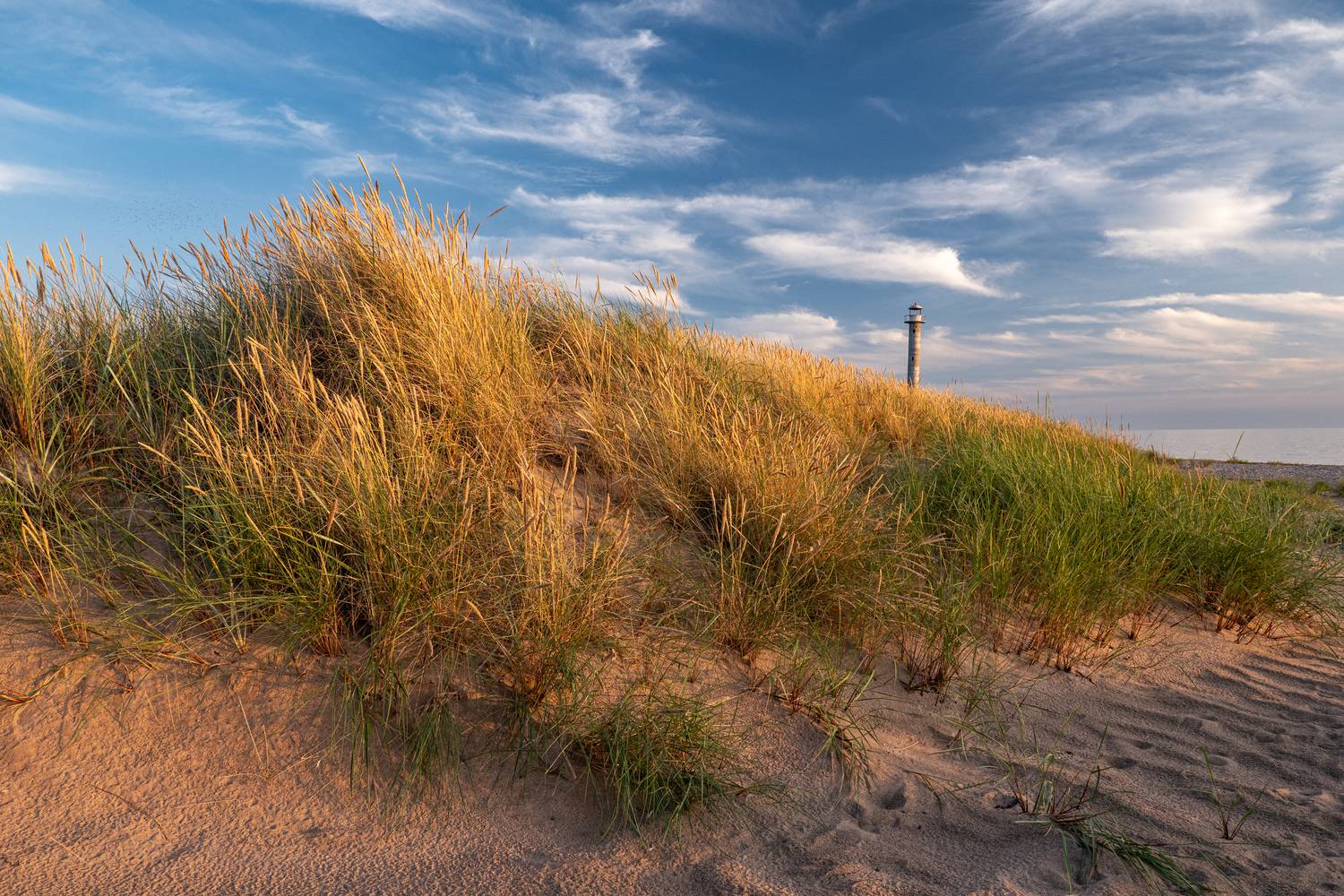 , Гордон Николай