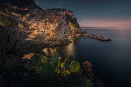 vides manarola