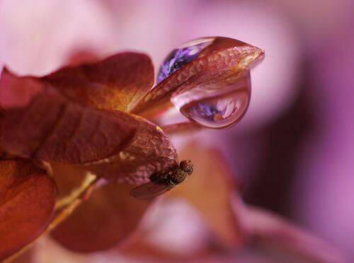 макровзгляд на микромир