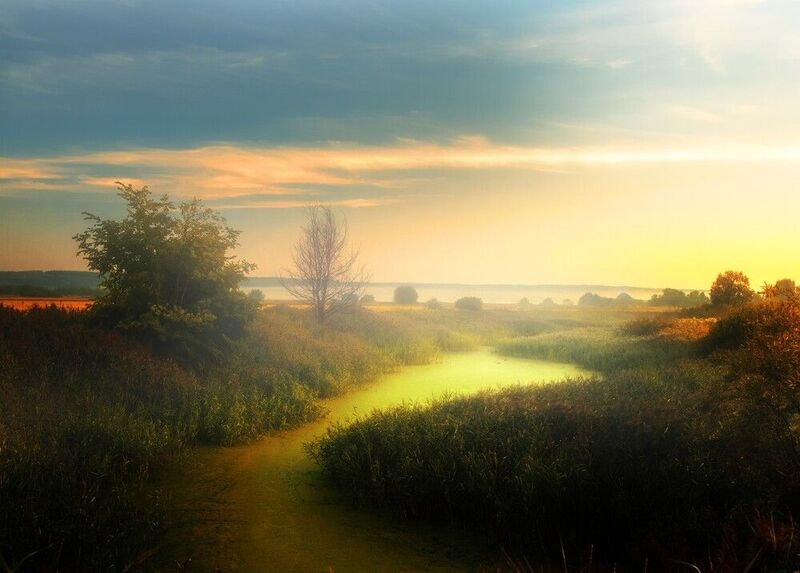 abashkin sergey, абашкин сергей, природа, forest, nature, пейзаж, туман, река, нижний новгород, майморы, озерка, кужутки Туманное утро фото превью