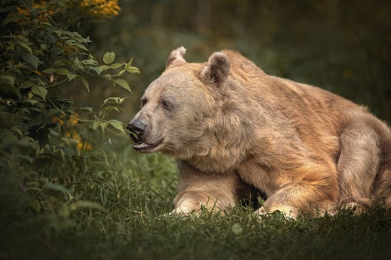 «Тишина и гармония природы.» фото превью