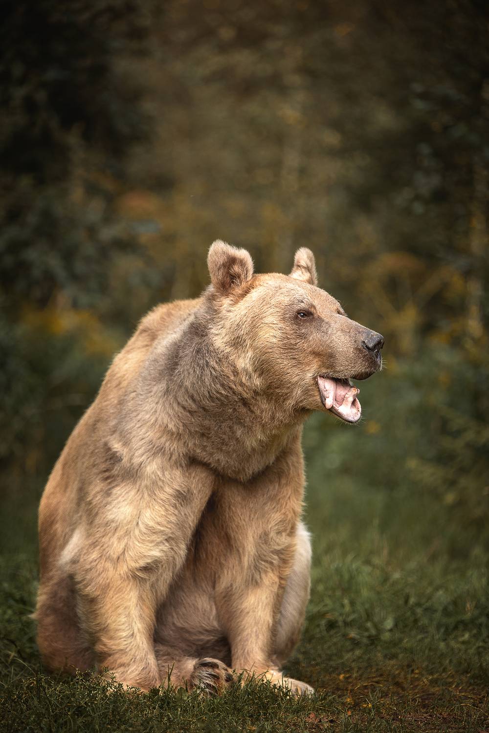 , Елена Самусенкова