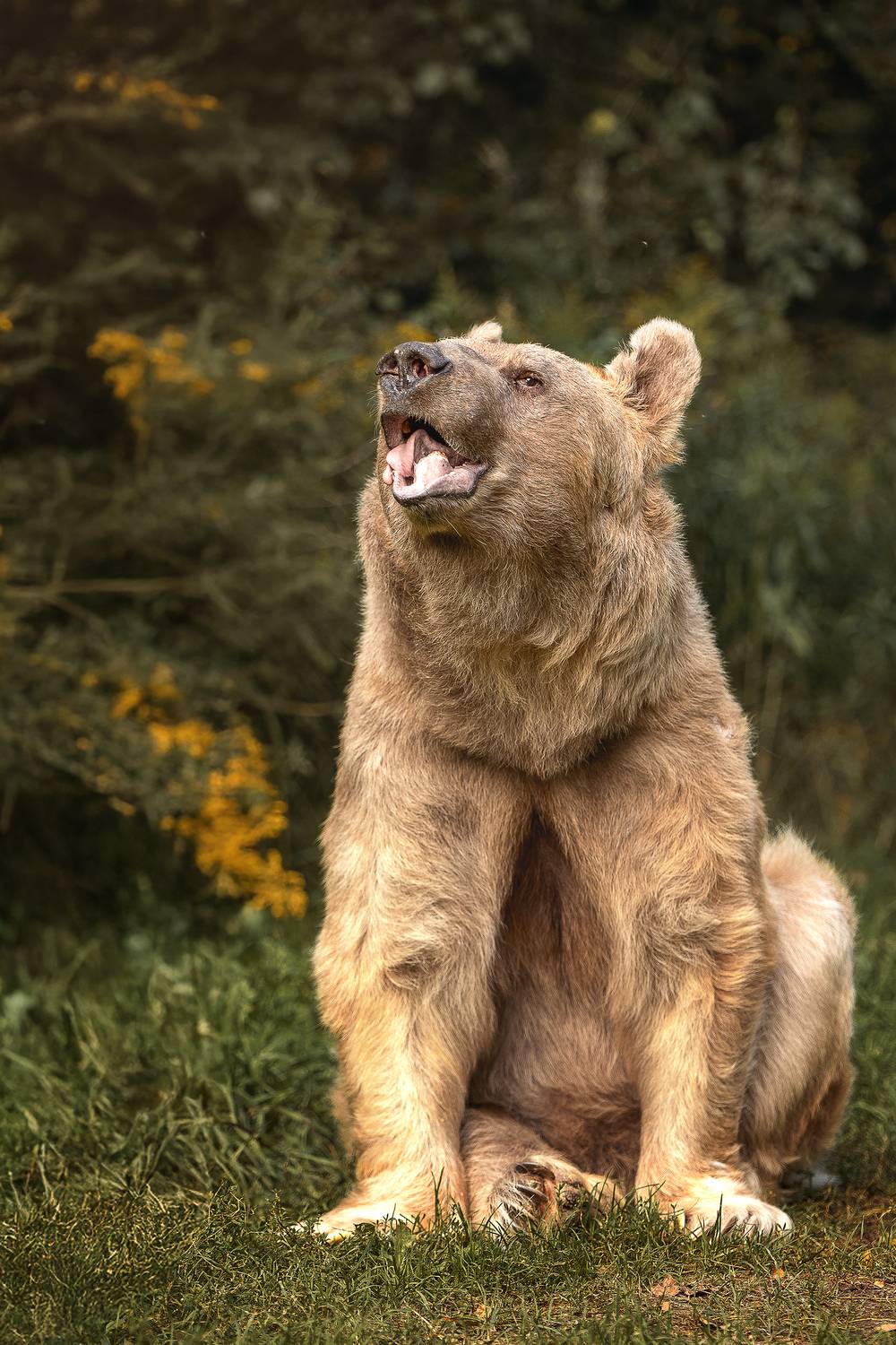 , Елена Самусенкова