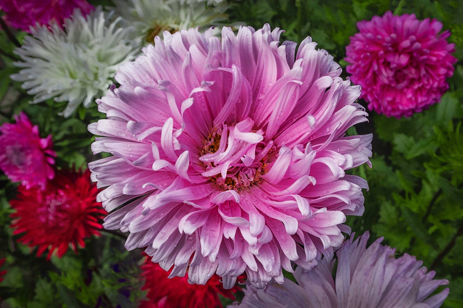 , Ушаков Валерий