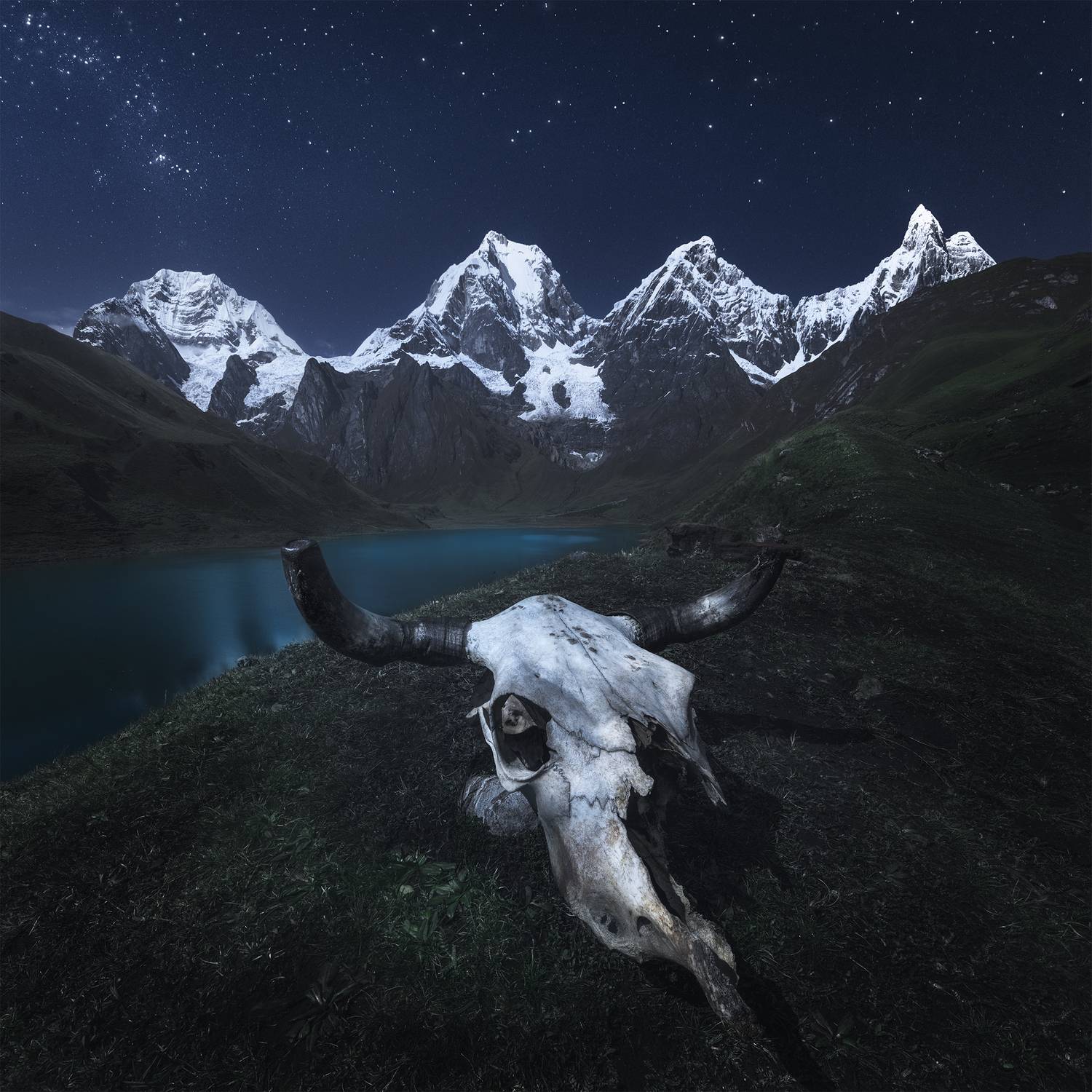 , Политова Анна