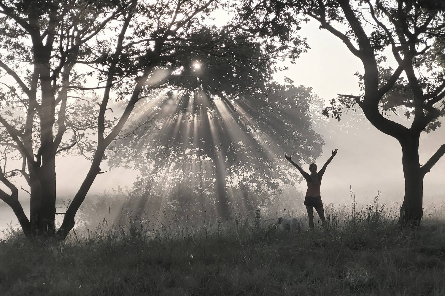 , Шляга Сергей