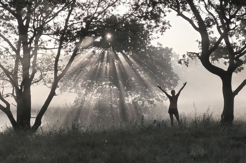 Встречая рассвет фото превью