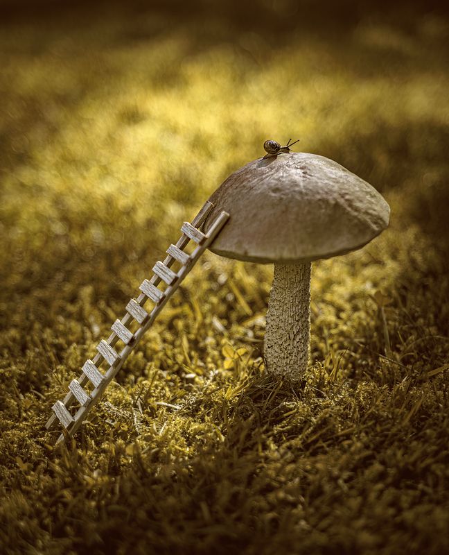 ... фото превью