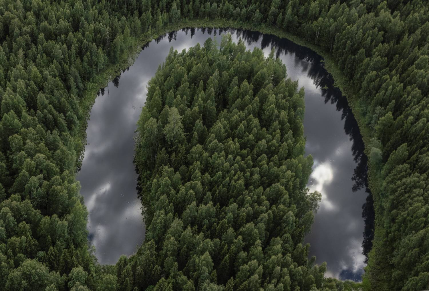 , Татьяна Борисова