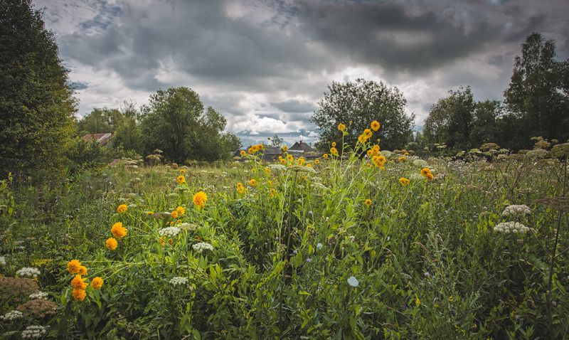 Торбеево гроза дождь Гроза наступает... фото превью