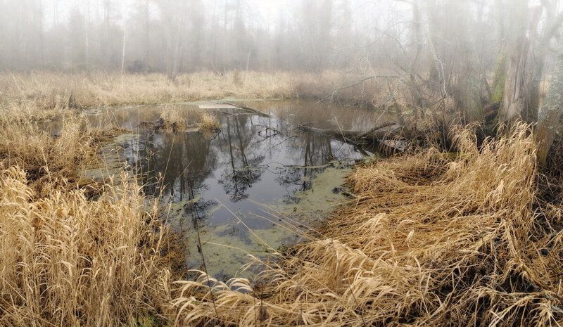 Путешествие по реке Востре.....Ивановская область...... фото превью