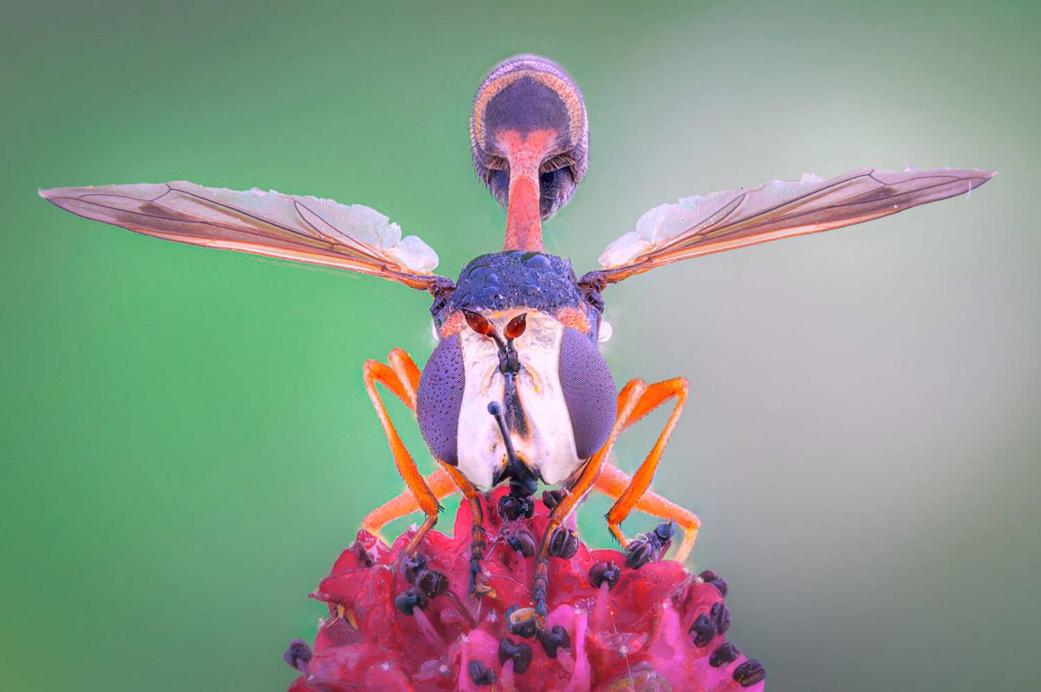 , Сергей Брагин