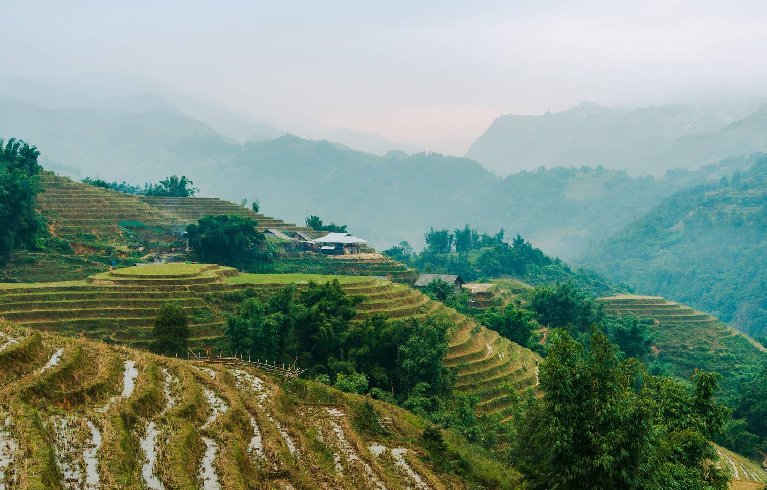 вьетнам, сапа, са па, рис, рисовые терассы, Исаков Дмитрий