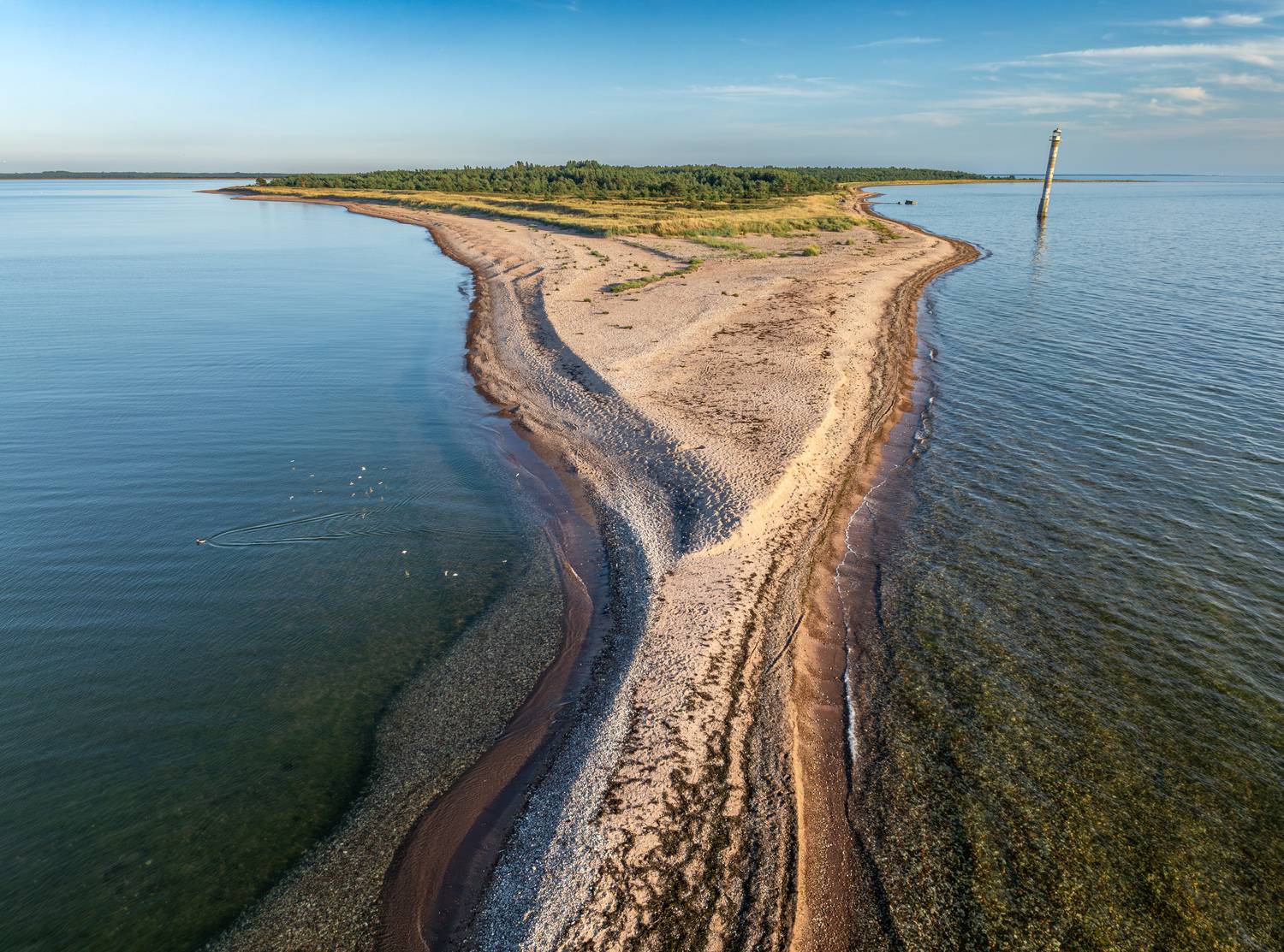 , Гордон Николай