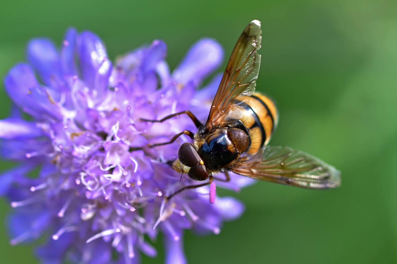 , Корнейчук Игорь