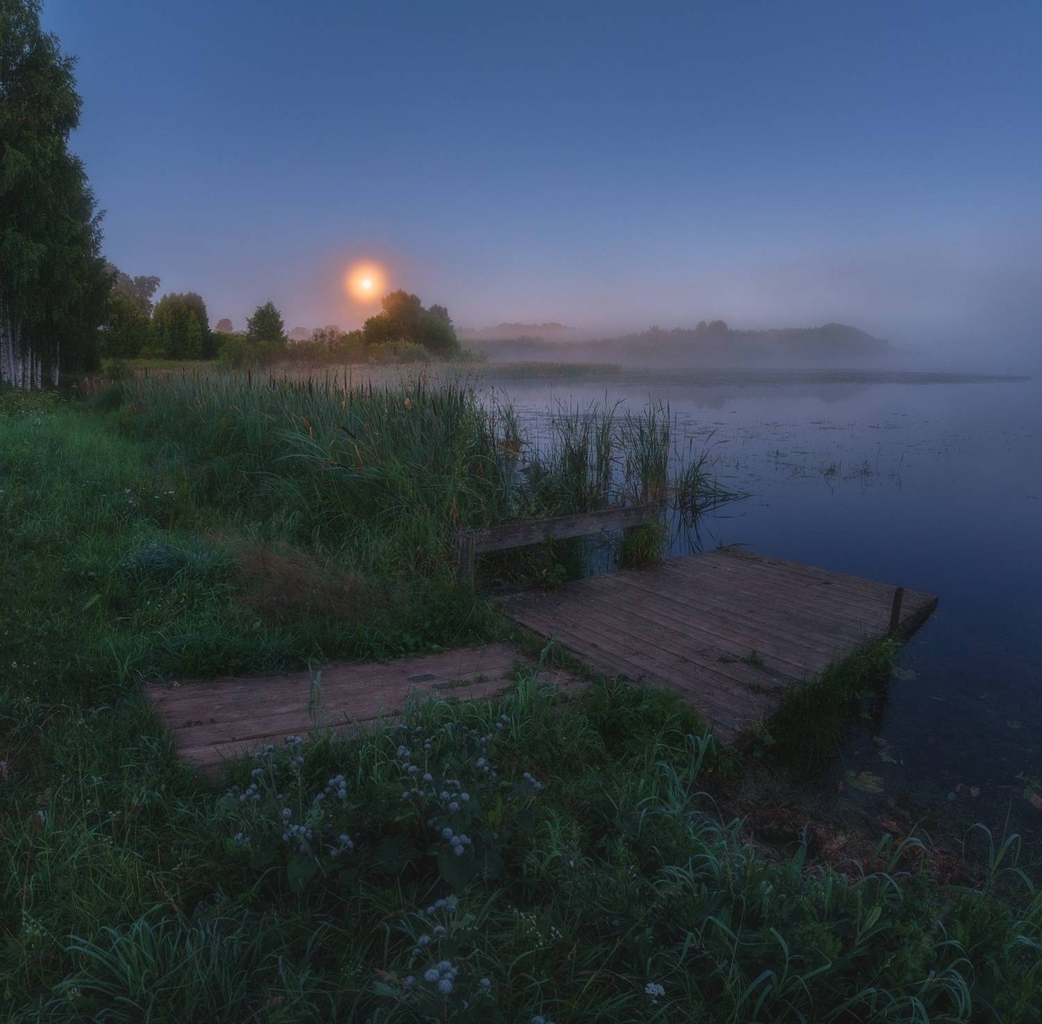 , Михаил Устюжанин