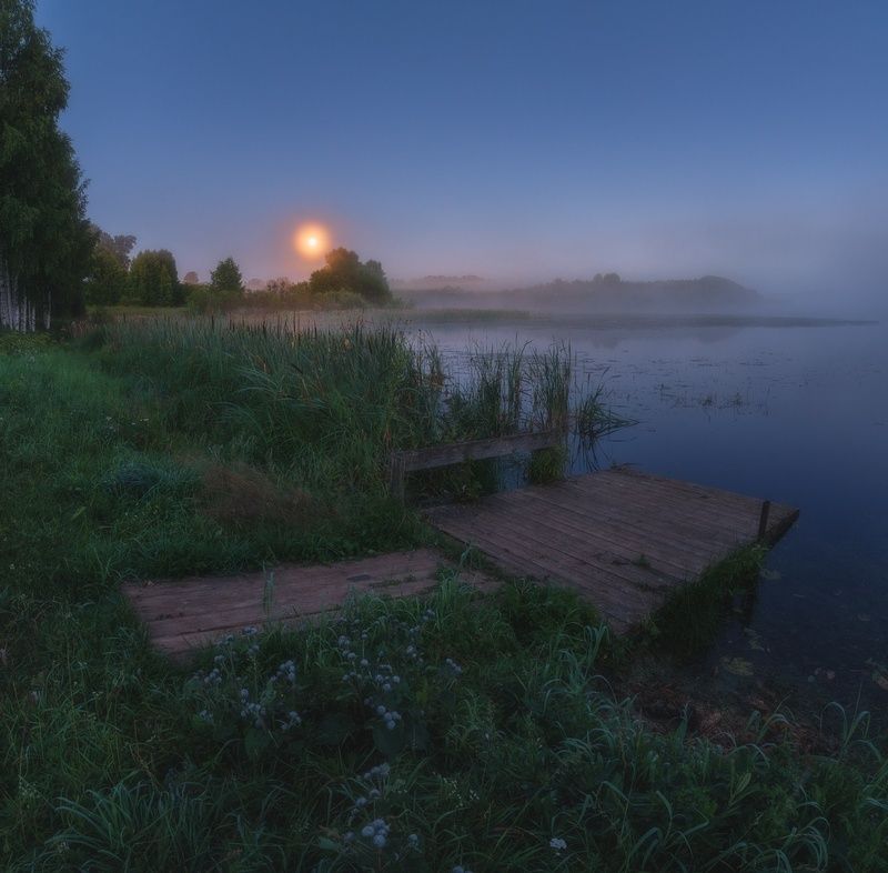 В летнее полнолуние фото превью