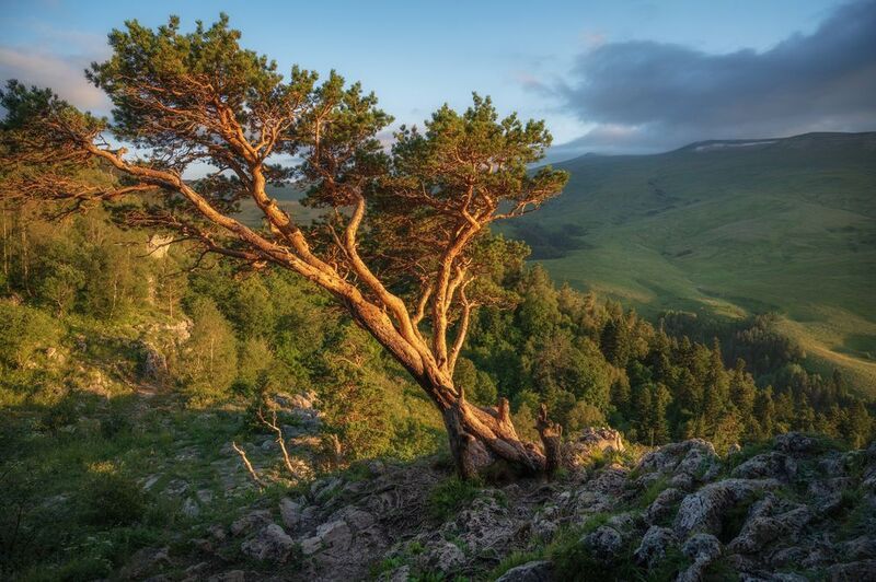 фото превью