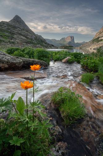 Быстрый ручей