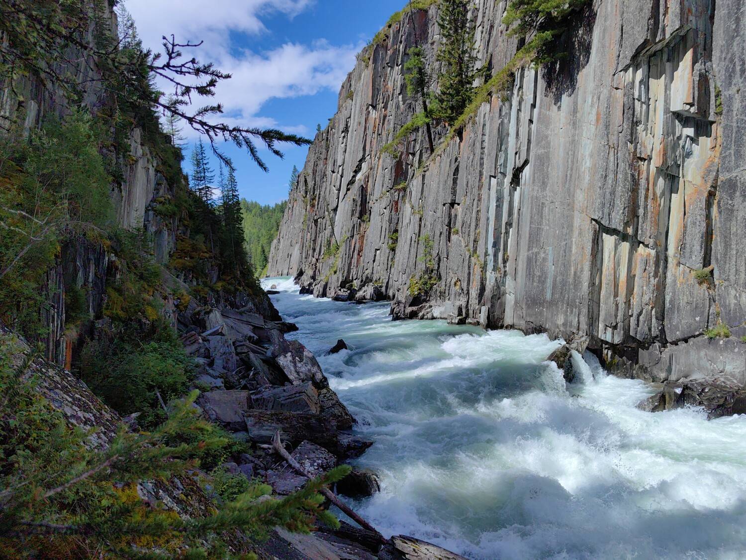 природа,алтай,река коксу, Козлова Галина