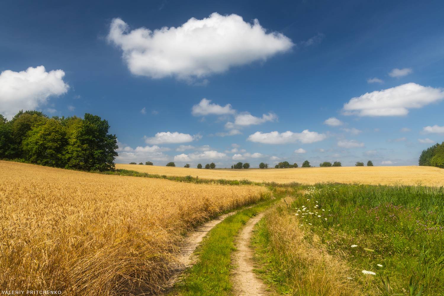 , Валерий Притченко