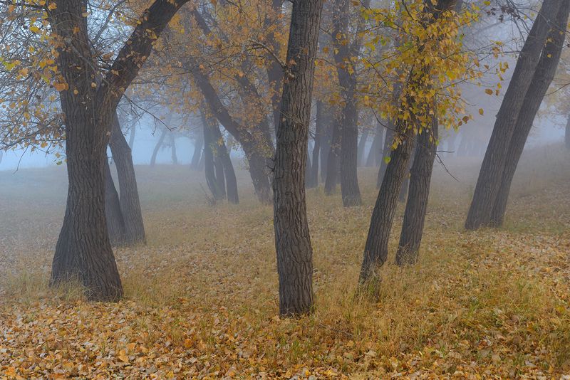 Зауралье фото превью