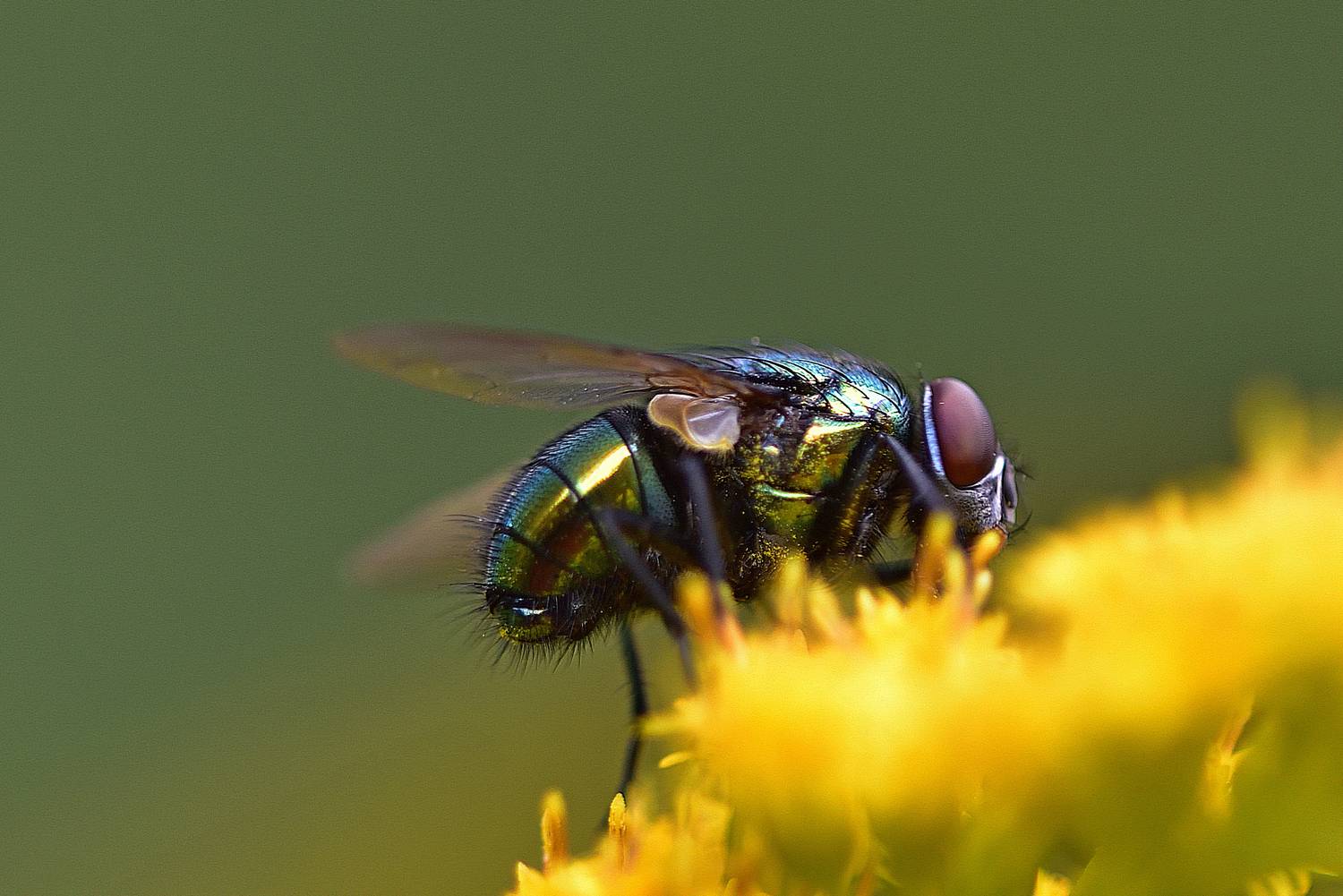 , Корнейчук Игорь