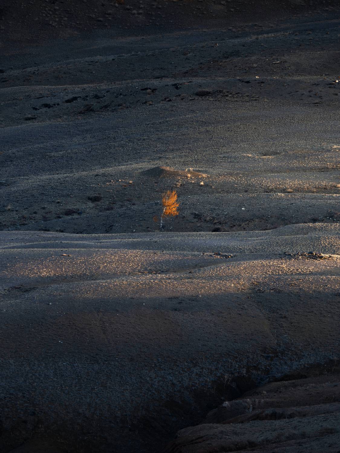 , Мозжухин Максим