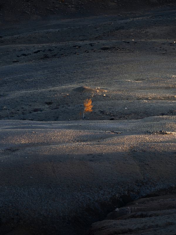 И один в поле... фото превью