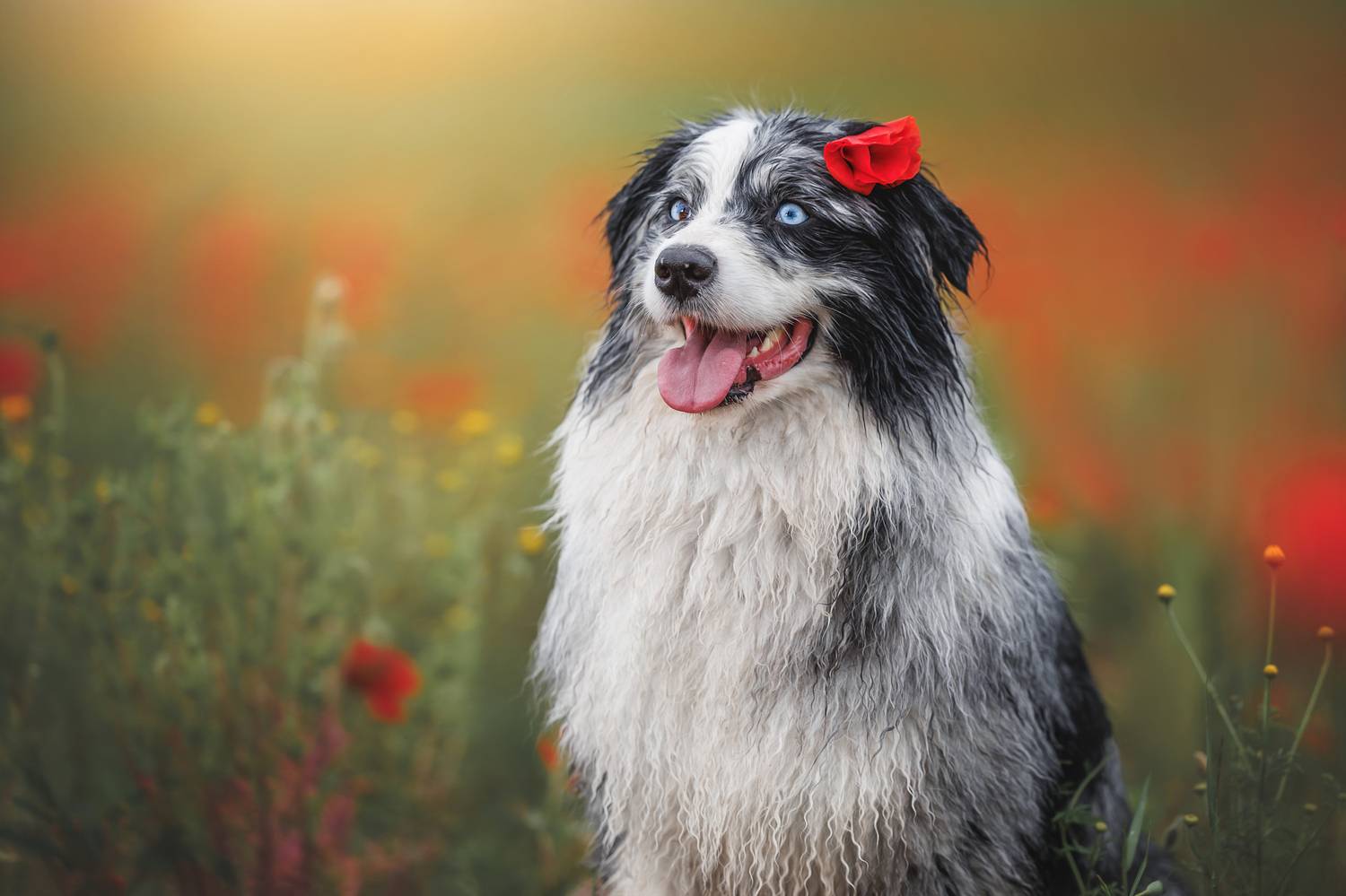 , Яна Нарбутович