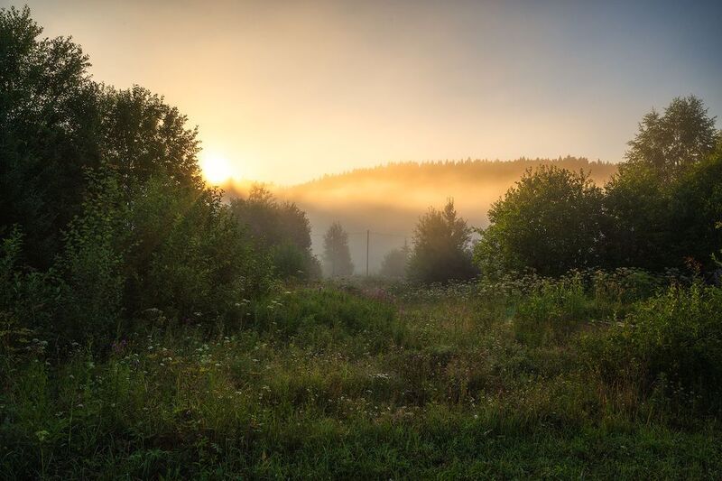 Утро на Койве фото превью