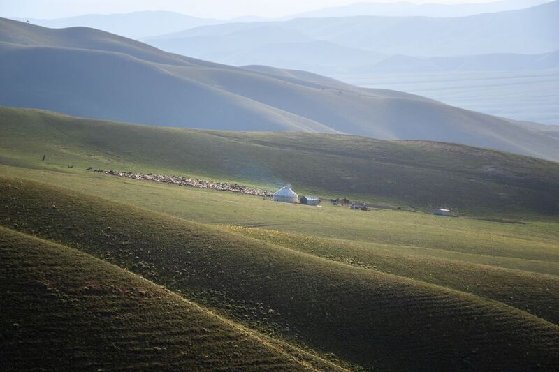 тянь-шань, горы, графика гор, пейзаж, природа, стойбище, животные, юрта, раннее утро, Раннее утро в стойбище фото превью