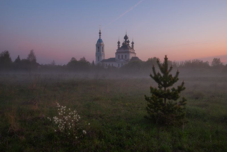 В туманной тишине. фото превью
