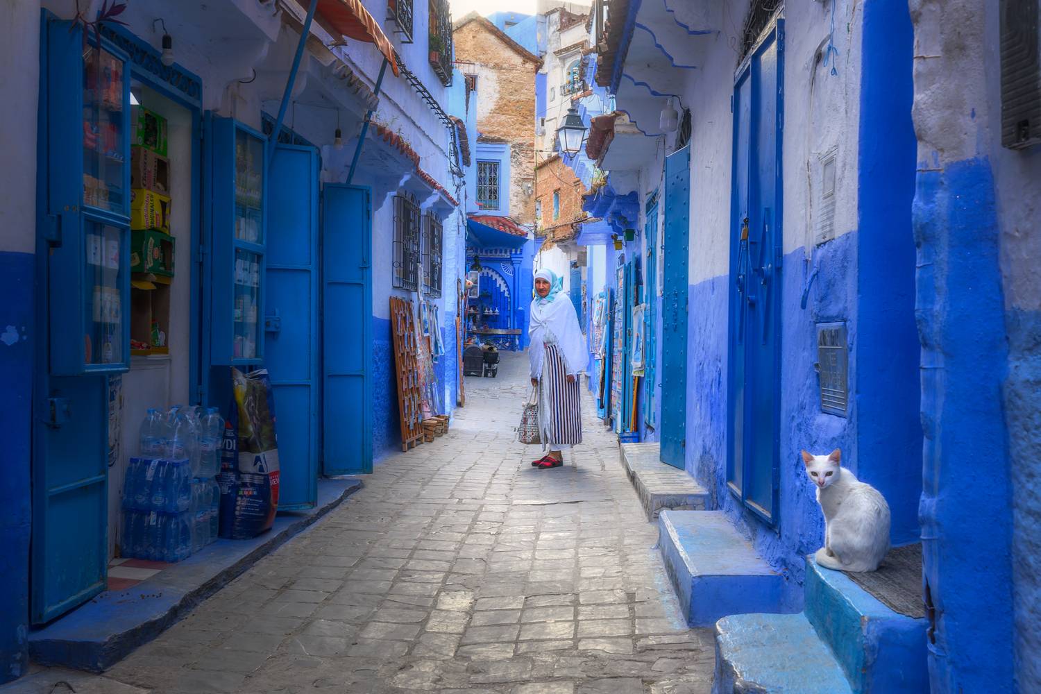 марокко, синий город, шефшауэн, maroc, marocco, street, city, blue, blue city, cat, etnic, africa, Kaznov Stanislav