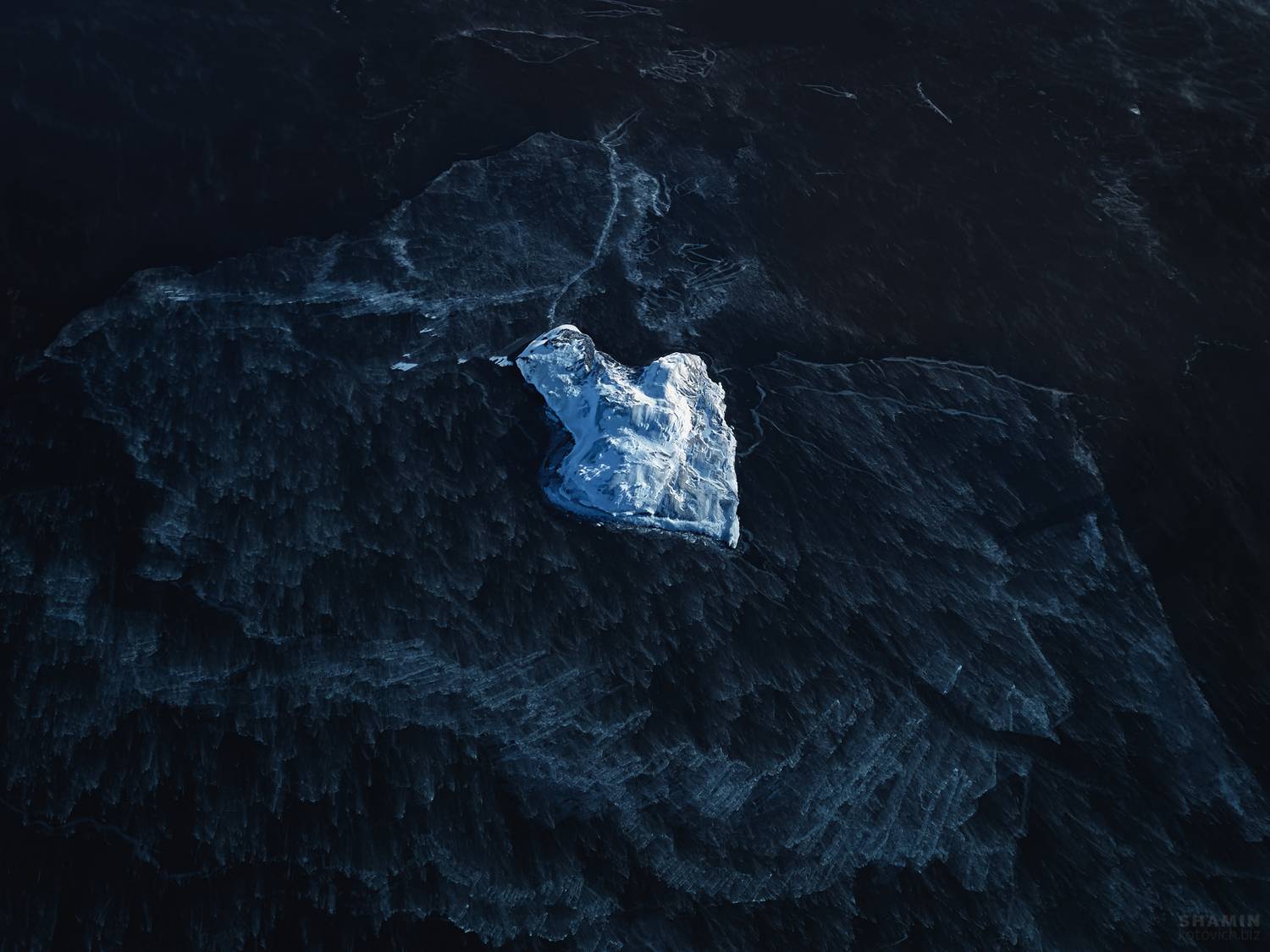 , Константин Шамин