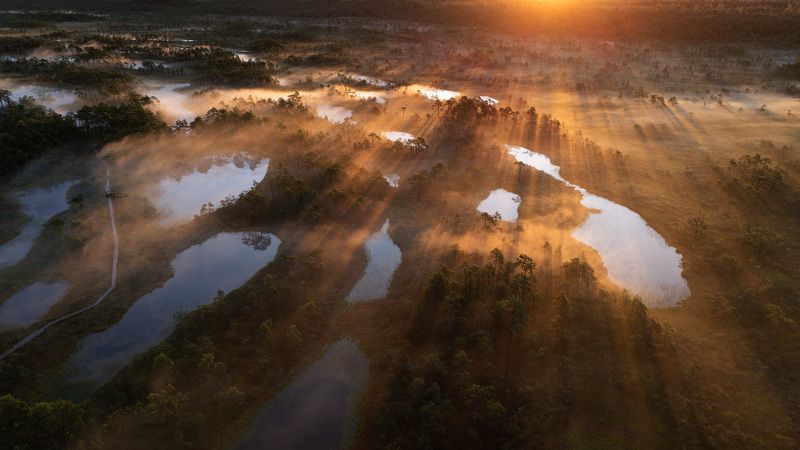 Магия утра фото превью