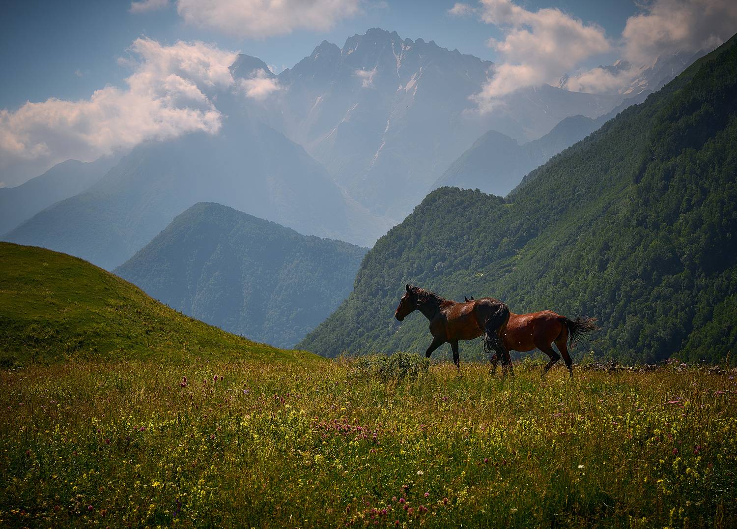 , Борис Дацковский