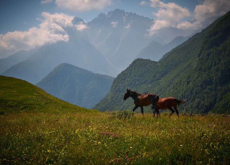 Сказочная Дигория (из серии). фото превью